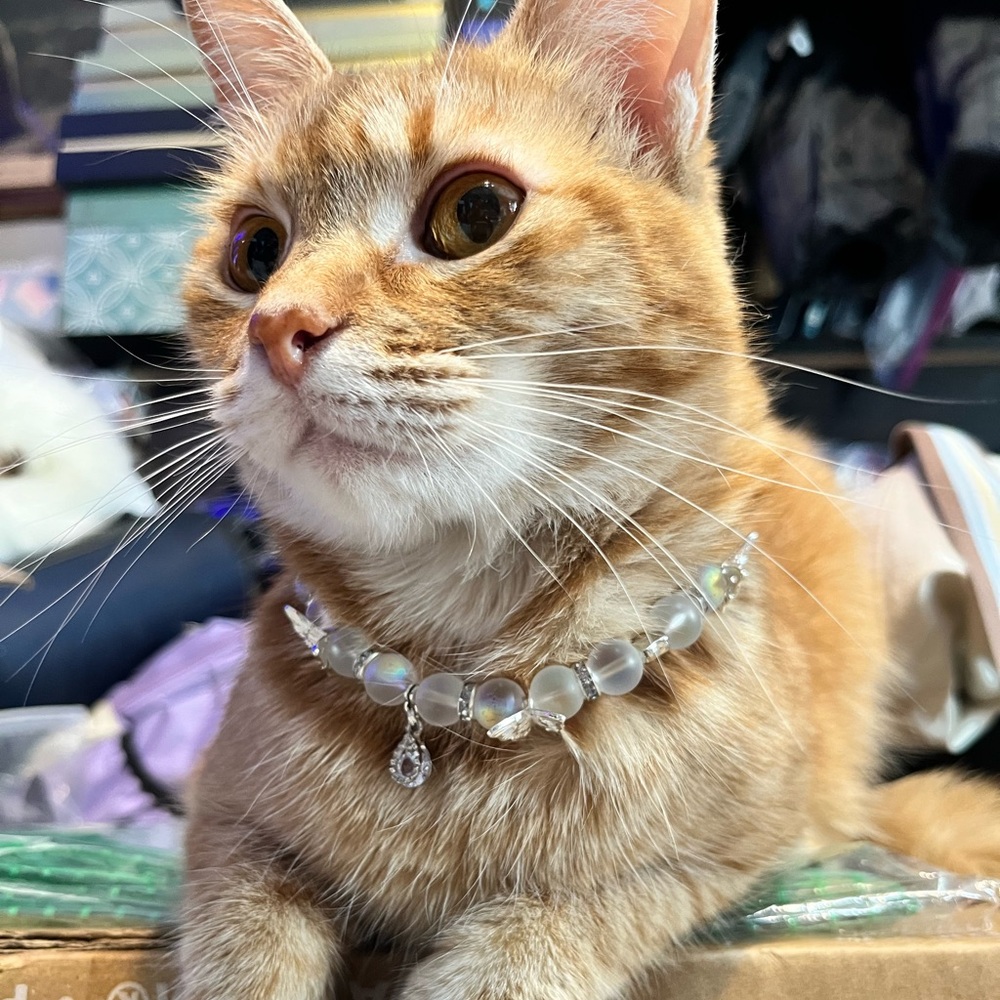 Cat necklace with matching bracelet for human companion